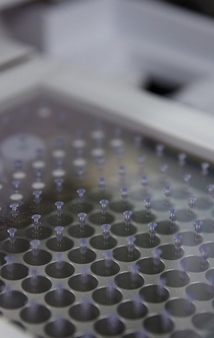 Covant targets clinically validated biology, driven by a drug development engine with highly integrated capabilities.